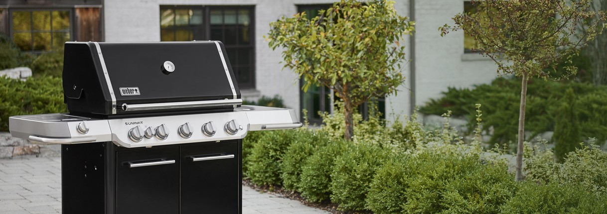 Официальный дилер Weber